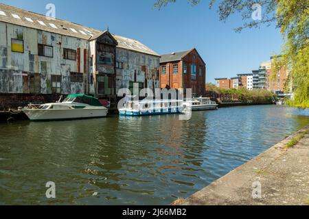 Frühlingsnachmittag auf dem Fluss Wensum in Norwich, Norfolk, England. Stockfoto