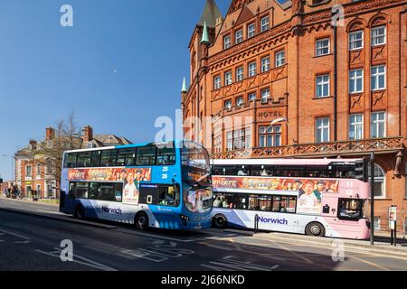 Doppeldeckerbusse im Stadtzentrum von Norwich, Norfolk, England. Stockfoto