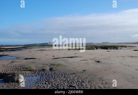 Blick auf die Landschaft entlang des Strandes in der Nähe von Embleton in Northumberland mit Dunstanburgh Castle in der Ferne auf seinem felsigen Ausbiss und Klippen Stockfoto