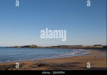 Landschaftsbild des weiten, weitläufigen Strandes von Embleton, der zu einem entfernten Schloss von Dunstanburgh führt, mit Mond oben in einem blauen Himmel und wenigen Menschen Stockfoto