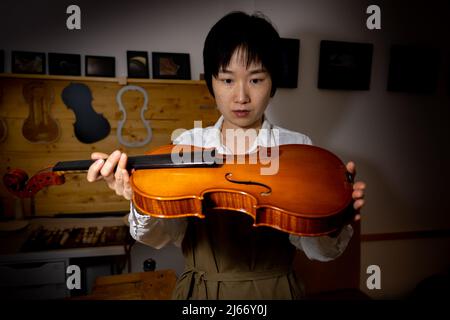 Die junge chinesische Geigenbauerin überprüft in der Werkstatt die Qualität ihrer Violine Stockfoto