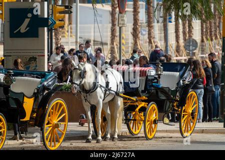 Málaga, Spanien; 02. April 2022: Typische Pferdekutsche in einer Straße in Malaga (Spanien), um Touristen durch die Stadt zu bringen Stockfoto