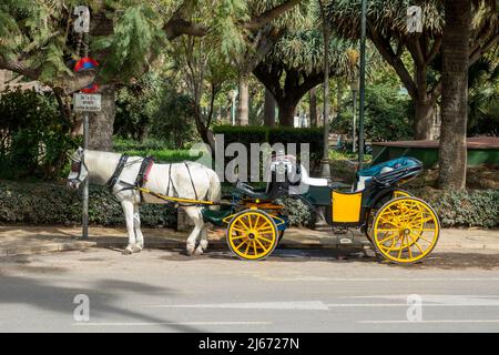 Málaga, Spanien; 02. April 2022: Typische Pferdekutsche in einer Straße in Malaga (Spanien), um Touristen durch die Stadt zu bringen Stockfoto