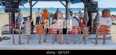 Málaga, Spanien; 14. April 2022: Typische Gerichte der andalusischen Küste: Sardinen-Espetos, Garnelen, Tintenfisch, Schnapper... bereit, am Feuer gekocht zu werden Stockfoto