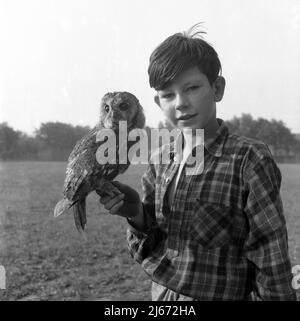 1960, historisch, draußen auf einem Feld, steht ein junger Teenager, der seine Eule, eine Waldkauz, in der Hand hält, England, Großbritannien. Stockfoto