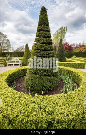 Topiary macht eine spannende Anzeige in einem Schaugarten Stockfoto