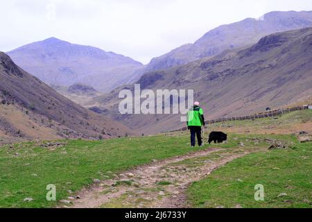 Ein älterer oder älterer Mann, der mit seinem Hund auf einem Hügel im Lake District National Park, Cumbria, England, Großbritannien, einen Pfad entlang geht. Eine Umfrage von Nuffield Health unter 8.000 Menschen in Großbritannien hat auch gezeigt, dass die meisten Erwachsenen in Großbritannien nicht genug Sport treiben. Als Reaktion auf die Umfrage hat Nuffield Health eine Kampagne mit dem Titel „Find Time for Your Mind“ ins Leben gerufen, mit der die Menschen dazu ermutigt werden sollen, täglich 5 Minuten mehr Sport zu treiben oder sich auf ihr geistiges Wohlbefinden zu konzentrieren. Stockfoto