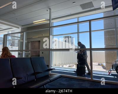 Orlando, FL USA - 23. September 2021: Ein Mann, der auf dem jetway läuft, um an einem Flughafen ein Flugzeug zu besteigen. Stockfoto