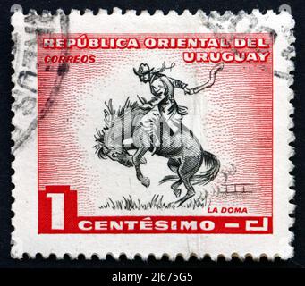 URUGUAY - UM 1954: Eine im Uruguay gedruckte Marke zeigt Horse Breaking, um 1954 Stockfoto