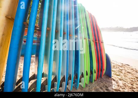 Set von verschiedenen Farben Surfbretter in einem Stapel von Ozean in Sri Lanka Stockfoto