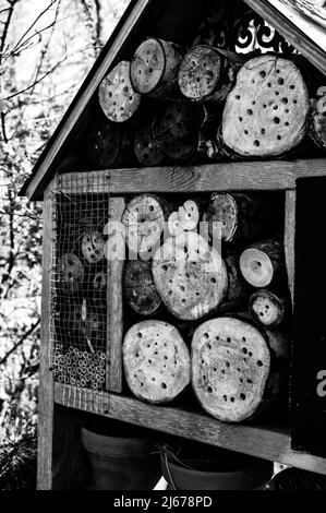 Habitatstruktur von Bienen und Wespen mit gebohrten Löchern, in denen Insekten überwintern und nisten können. Stockfoto