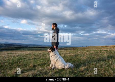 Bärtiger Mann, der die wunderschöne Landschaft mit seinem Hund genießt Stockfoto