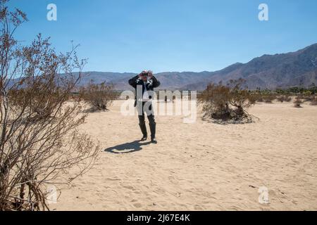 In der Nähe von Borrego Springs in Südkalifornien gibt es Metallstatuen von Tieren wie Pferden, Wildschweinen, Adlern, Kamelen und Drachen. Stockfoto