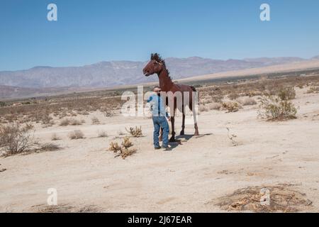 In der Nähe von Borrego Springs in Südkalifornien gibt es Metallstatuen von Tieren wie Pferden, Wildschweinen, Adlern, Kamelen und Drachen. Stockfoto