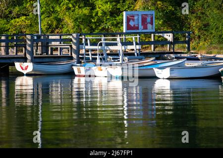 Quissett Harbour Bilder, Bilder und Stock-Fotos Quissett Harbour auf Cape Cod, Massachusetts in der frühen Morgensonne. Segelboote liegen in Quissett Harbo vor Anker Stockfoto