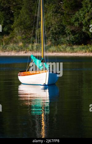 Quissett Harbour Bilder, Bilder und Stock-Fotos Quissett Harbour auf Cape Cod, Massachusetts in der frühen Morgensonne. Segelboote liegen in Quissett Harbo vor Anker Stockfoto