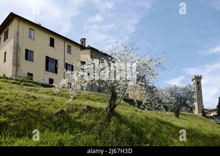 Römisches archäologisches Gebiet, Fiesole, in der Nähe von Florenz, Toskana, Italien, April 2022 Stockfoto