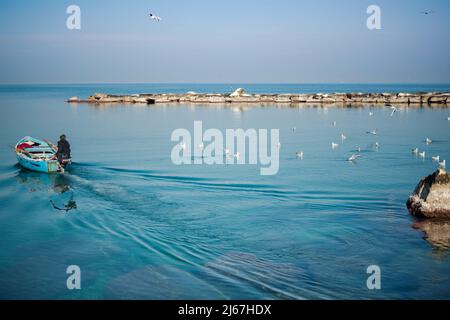 Ein Mann in einem Boot segelt vom Ufer eines ruhigen blauen Meerwassers mit Möwen. Ruhige, entspannende Seeszene mit einem Boot. Stockfoto