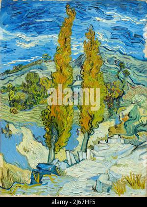 Zwei Poplars in den Alpilles bei Saint-Rémy. Vincent Van Gogh. 1889. Stockfoto