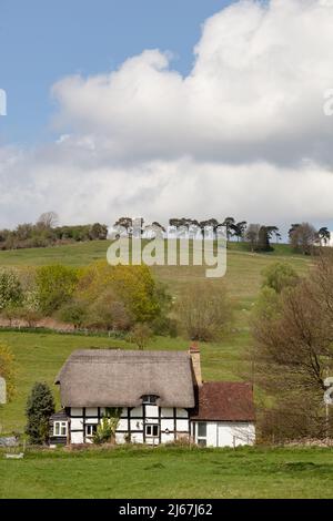 Halb gezimmerte schwarz-weiß strohgedeckte Landhaus in dem Weiler Grafton unter den Bredon Hills Worcestershire England Stockfoto