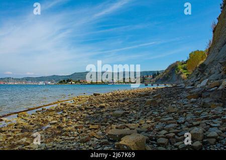 Ein felsiger Strand an der Adriaküste Sloweniens in der Nähe von Izola. Die Stadt Izola ist im Hintergrund links Stockfoto