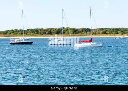 Segelboote werden an einem klaren Herbsttag an einem von Bäumen gesäumten Sandstrand an Bojen befestigt Stockfoto