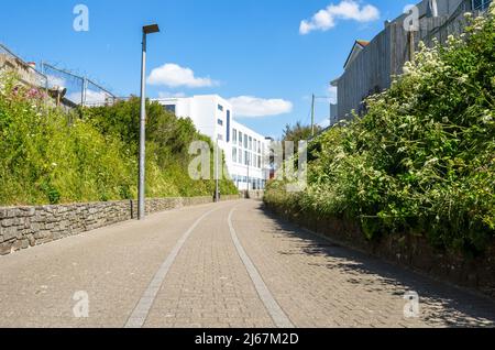 Leerer gepflasterter Weg für Fußgänger und Radfahrer gesäumt von modernen LED-Lampen an einem sonnigen Sommertag Stockfoto