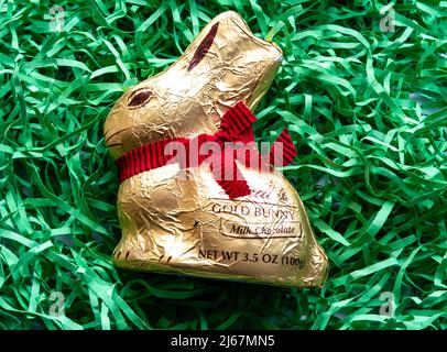 Der legendäre Lindt Goldhase ist ein weltweites Symbol für Ostern Stockfoto