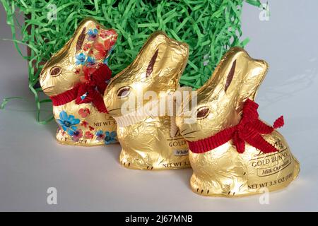 Der legendäre Lindt Goldhase ist ein weltweites Symbol für Ostern Stockfoto