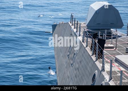 220414-N-NK931-839 PAZIFISCHER OZEAN (APR. 14, 2022) – Delfine durchbrechen das Wasser, während Möwen vor dem Litoral Combat Ship USS Montgomery (LCS 8) fliegen, während sie im Ostpazifik operieren. LCS ist eine schnelle, agile, missionskorremierte Plattform, die für den Einsatz in Küstenumgebungen entwickelt wurde und sich gegen Küstenbedrohungen aus dem 21.. Jahrhundert ausspioniert. LCS unterstützt die Vorwärtspräsenz, die Sicherheit im Seeverkehr, die Seekontrolle und die Abschreckung. (USA Navy Foto von LT. M.g. Samuel Hardgrove) Stockfoto