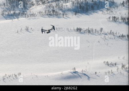 Ein US Air Force CV-22B Osprey, der dem 352d Special Operations Wing zugewiesen wurde, fliegt um die Berge Nordnorwegens, während er von einem UH-1Y Venom und einer AH-1W Super Cobra, die dem 2. Marine Aircraft Wing zugewiesen wurde, während einer simulierten Landezone für feindliche Kämpfe, 12. März 2022, Während des Trainings Kaltantwort ‘22. Diese Schulung wurde durchgeführt, um jede Einheit besser mit den Taktiken und Protokollen der jeweils anderen Einheit vertraut zu machen. Übung Cold Response '22 ist eine jährliche norwegische nationale Bereitschafts- und Verteidigungsübung, die in ganz Norwegen stattfindet, an der jeder seiner Militärdienste, Stockfoto