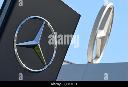 Stuttgart, Deutschland. 28. April 2022. 28. April 2022, Baden-Württemberg, Stuttgart: Zwei Mercedes-Stars werden in der Mercedes-Niederlassung in Stuttgart Bad-Cannstatt aufgestellt. Die Jahreshauptversammlung des Automobilkonzerns findet am 29. April statt. Foto: Bernd Weißbrod/dpa Quelle: dpa picture Alliance/Alamy Live News Stockfoto