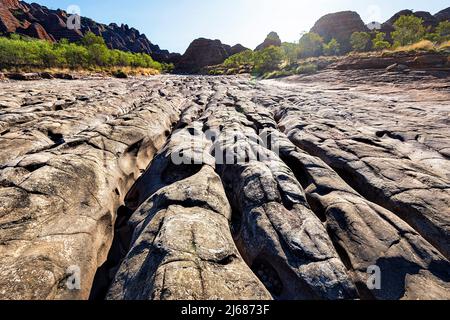 Blick auf das erodierte Creekbed des Piccaninny Creek, den Purnululu National Park oder Bungle Bungles, ein UNESCO-Weltkulturerbe in der Kimberley, Westaustralien, Stockfoto