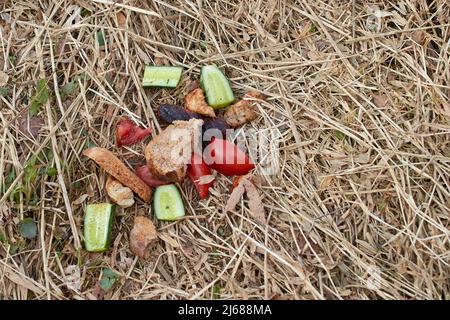 Halbgefressene Gemüsestücke und Roggenbrot liegen auf dem trockenen Gras Stockfoto