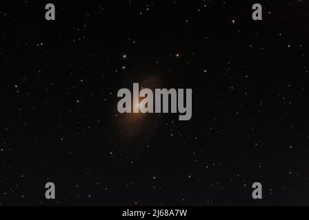 Bodes Galaxy/Messier 81 Stockfoto