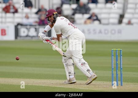 Emilio Gay im Batting Action für Northamptonshire während Essex CCC gegen Northamptonshire CCC, LV Insurance County Championship Division 1 Cricket im The Stockfoto