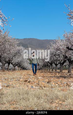 Arbeiter sammeln Feuerholz in der Berglandschaft unter blauem Himmel Stockfoto