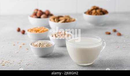 Gemüsemilch in einem Becher auf dem Hintergrund von Schüsseln mit Nüssen, Haferflocken und Hülsenfrüchten. Eine Alternative zu Milchprodukten. Stockfoto