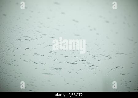 Viele Vögel am Himmel. Tropfen auf Glas. Transparentes Material. Kleine Tropfen. Stockfoto