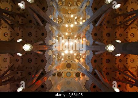 Die Sagrada Familia de Antonio Gaudí in Barcelona. Spanien. Innendecken. Kuppeln und Säulen in La Sagrada Familia. Natürliche Inspiration von Gaudí. Stockfoto