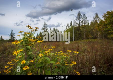 Alkaline River National Wetland Park Stockfoto