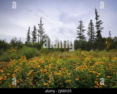 Alkaline River National Wetland Park Stockfoto