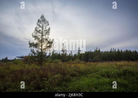 Alkaline River National Wetland Park Stockfoto