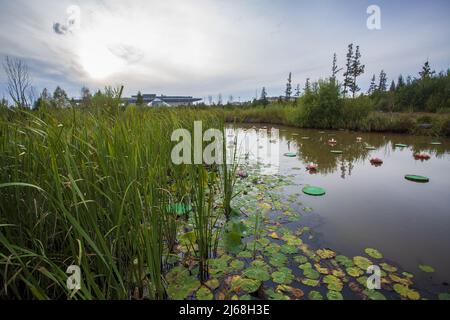 Alkaline River National Wetland Park Stockfoto