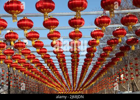 Xinjiang Barkol hebt die rote Laterne Stockfoto