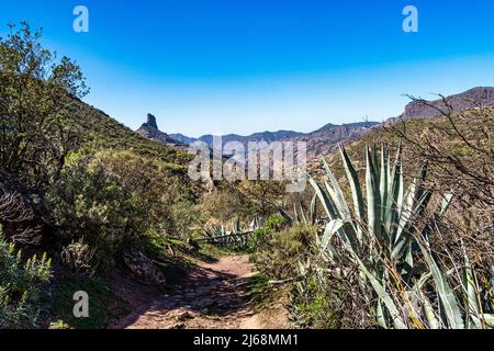 Tal von Tejeda auf Gran Canaria, Spanien. Die Berge des zentralen Teils der Insel, Wandern entlang der Barranco de Tejeda Stockfoto