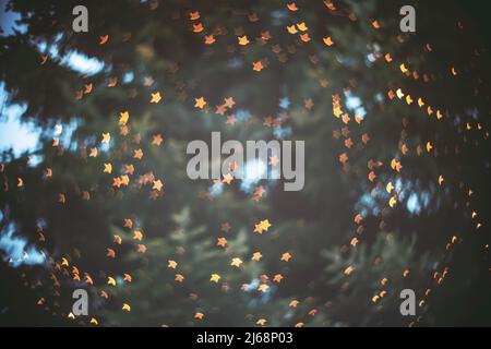 Verwischen Sie kleine Sterne im Hintergrund auf dem weihnachtsbaum. Tapete mit abstraktem, defokussierten Glanz. Der Gold-Boke-Effekt leuchtet nachts. Sternenklare, leuchtende Weihnachtsdekoration auf gr Stockfoto