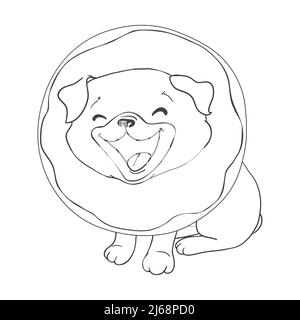 Pug-Vektor hand Zeichnung Illustration in schwarzer Farbe auf weißem Hintergrund Stock Vektor