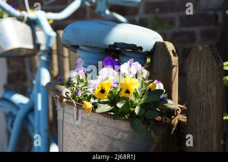Rostig vintage blau Fahrrad mit Blumen Stockfoto