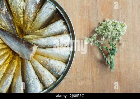 Sardinenkann auf einem alten verwitterten Holztisch und einer Pflanze mit kleinen weißen Blättern. Essen und Fisch. Stockfoto